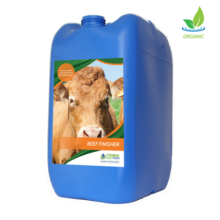 Beef Finisher - Beef