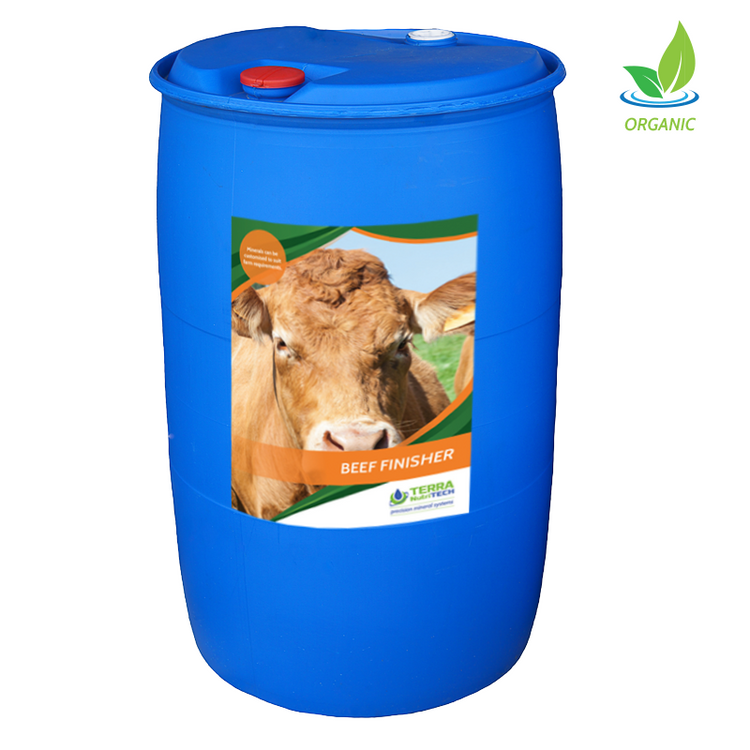 Beef Finisher - Beef