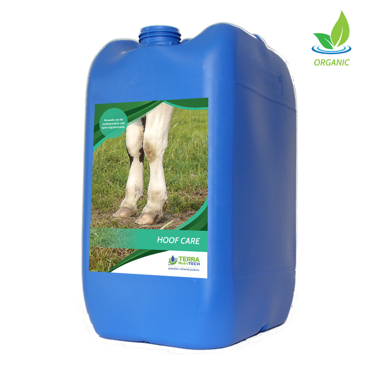 Hoof Care - Milk Production