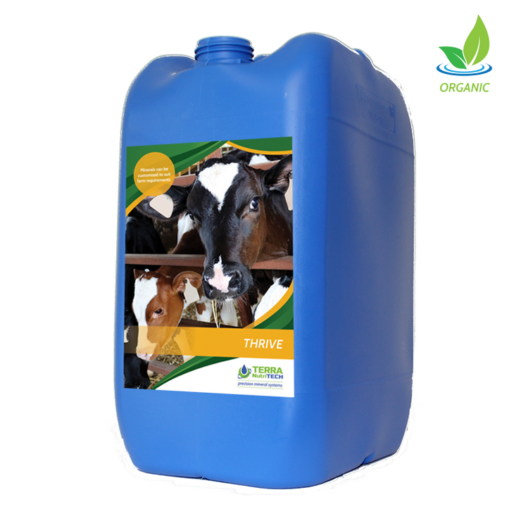 Thrive - Young Stock