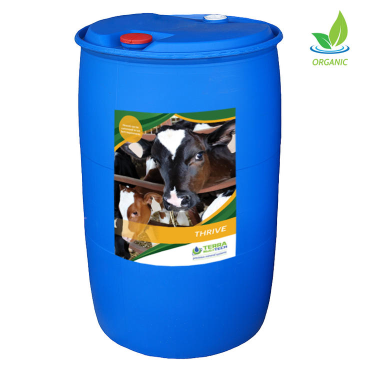 Thrive - Young Stock