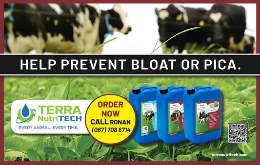Prevent bloat and pica with TERRA NutriTECH precision liquid minerals. High bioavailability ensures consistent absorption, supporting herd health and performance.