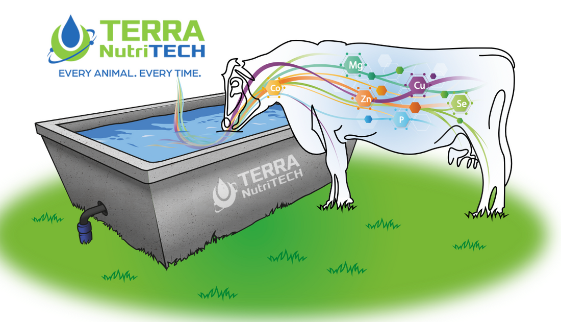 TERRA NutriTECH provides precision liquid minerals and smart dosing systems for every farm. Improve calving, fertility, milk yield, young stock, beef and overall herd health with automated, reliable delivery.