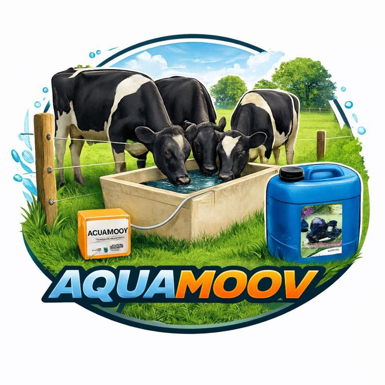 AquaMoov