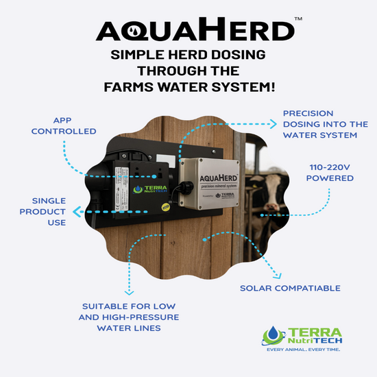 AquaHerd product for simple herd dosing through a farm's water system with TERRA NutriTECH branding.