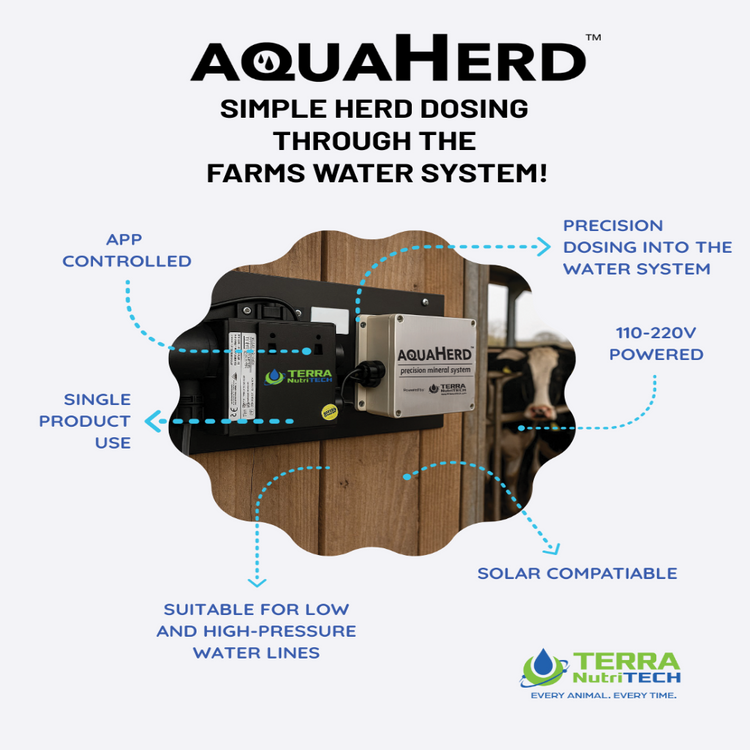 AquaHerd product for simple herd dosing through a farm's water system with TERRA NutriTECH branding.