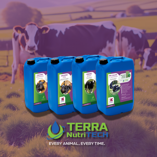 TERRA NutriTECH pre- and post-calving liquid mineral products with cows in the background