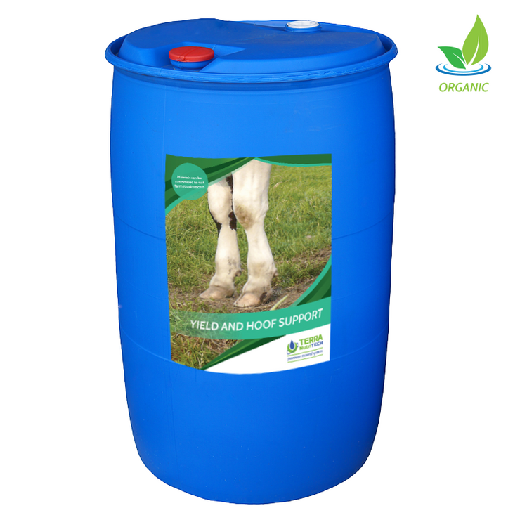 Yield and Hoof Support - Milk Production